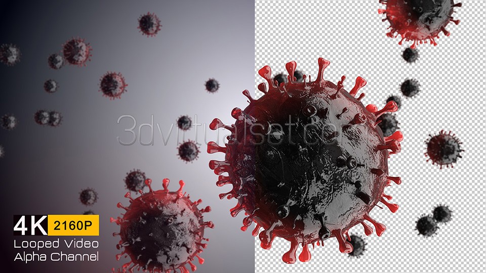 Coronavirus 202